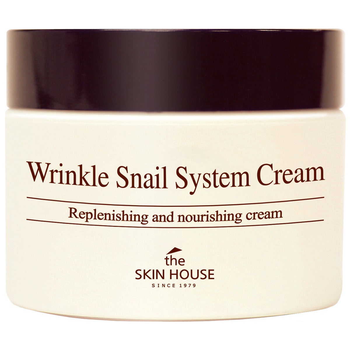 THE SKIN HOUSE