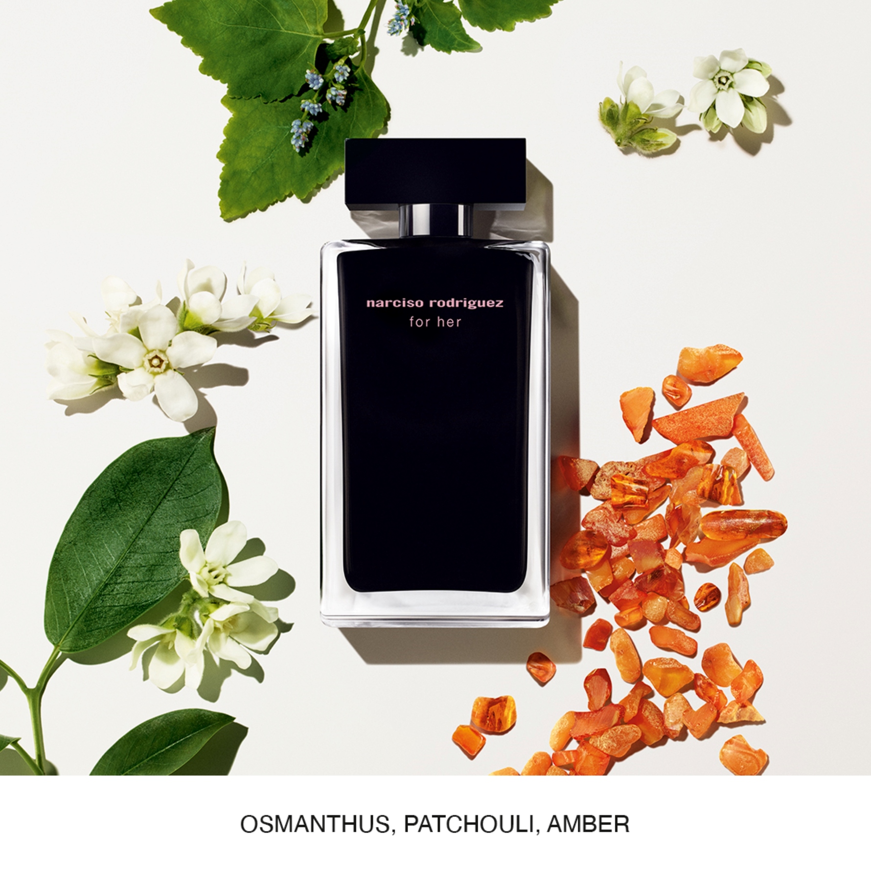 Narciso Rodriguez