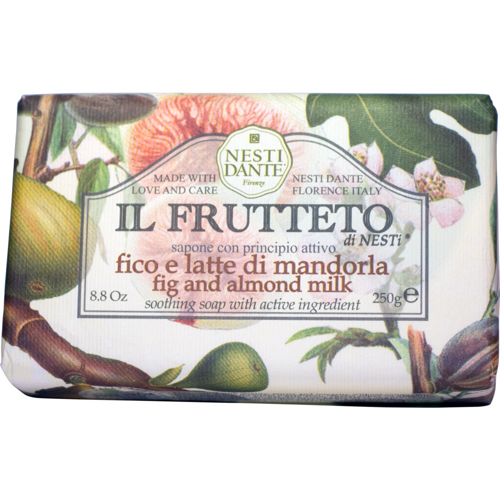 Nesti Dante