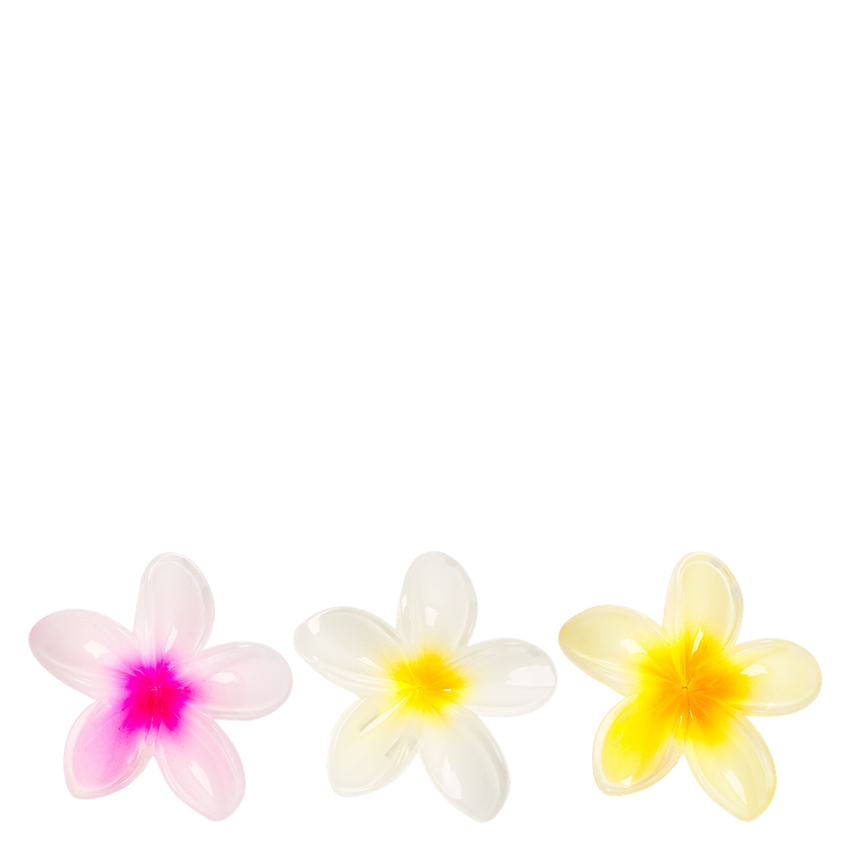 Brushworks Tropical Flower Claw Clips 3pcs