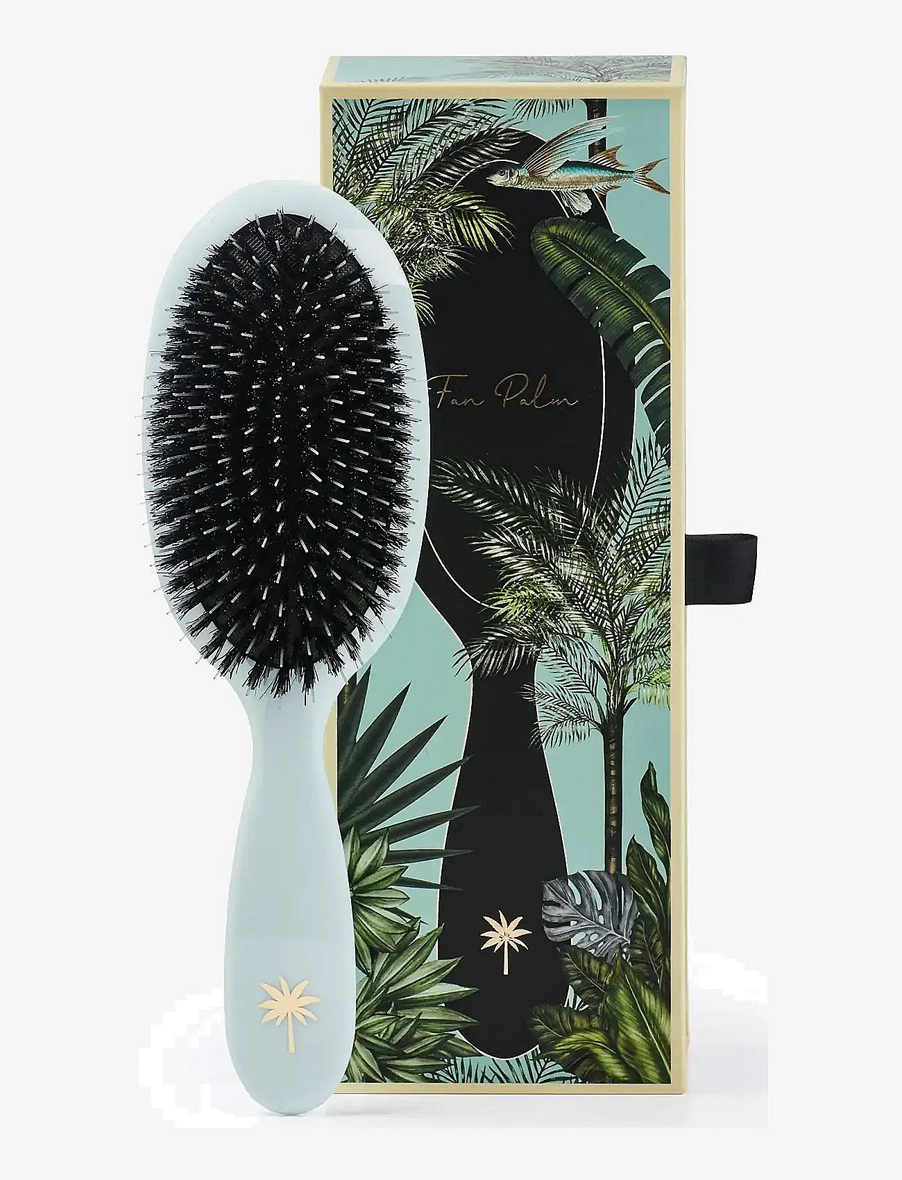 Fan Palm
