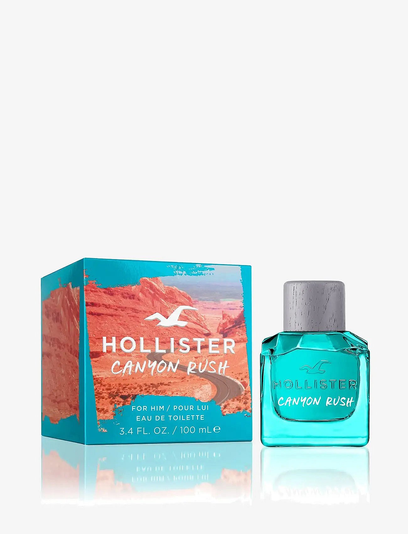 Hollister Co.