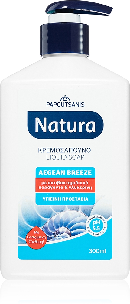PAPOUTSANIS