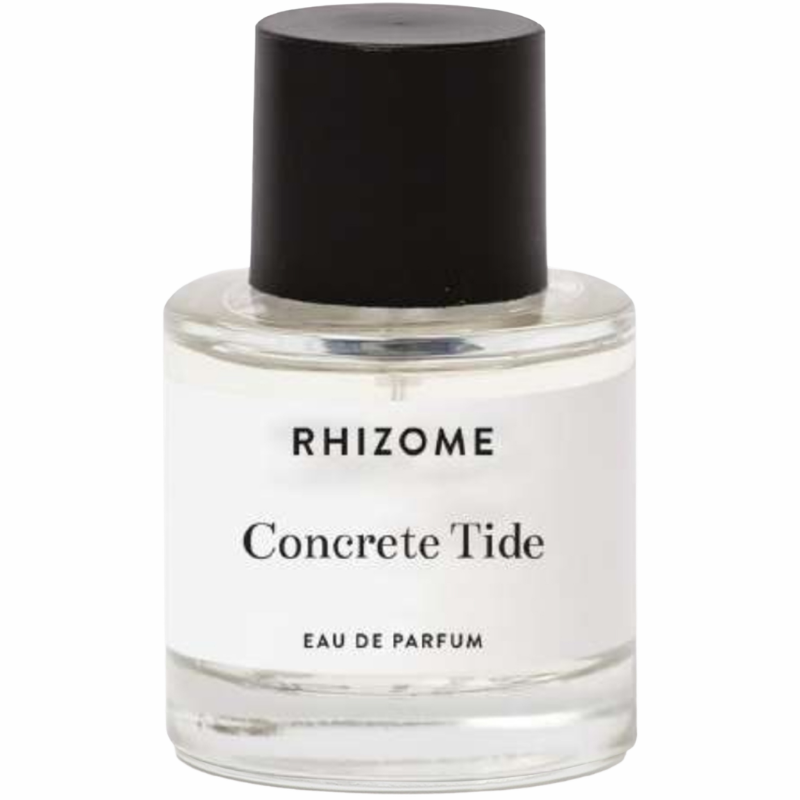 Rhizome