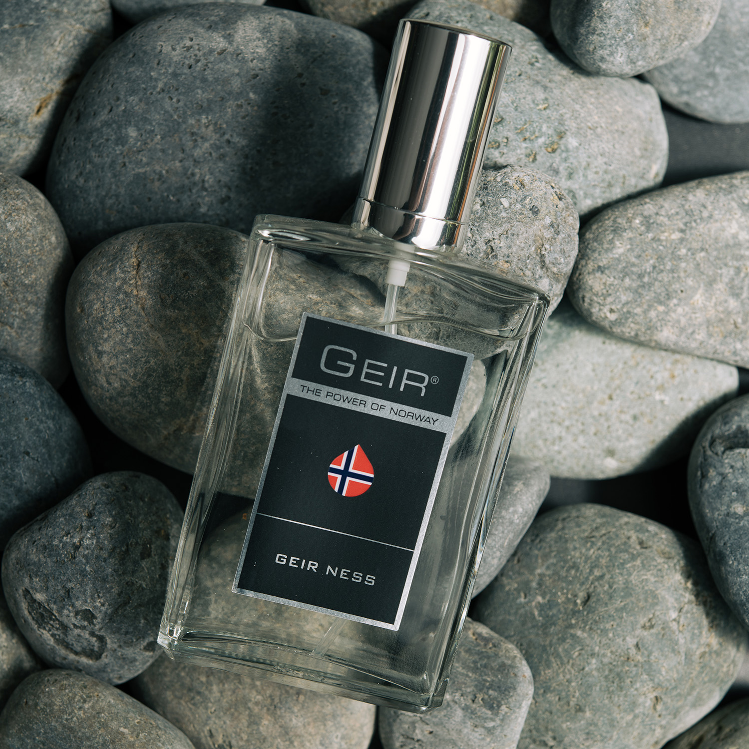 Geir Ness