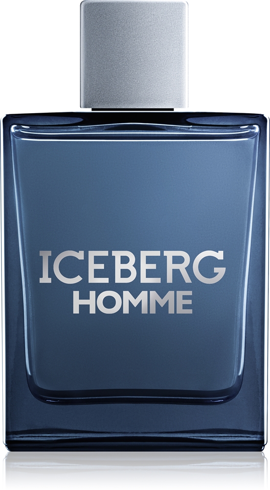 Iceberg