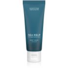 Scottish Fine Soaps Sea Kelp Brusegel 75 ml