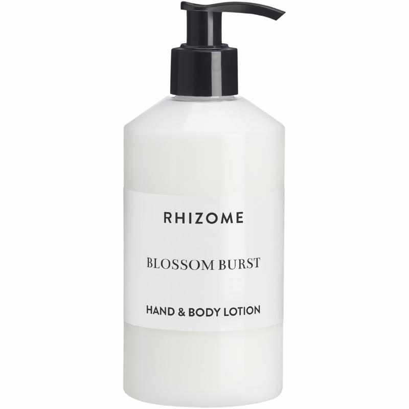 Rhizome
