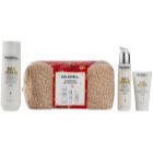 Goldwell Dualsenses Rich Repair Presentförpackning för torrt och skadat hår
