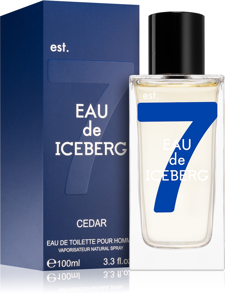 Iceberg